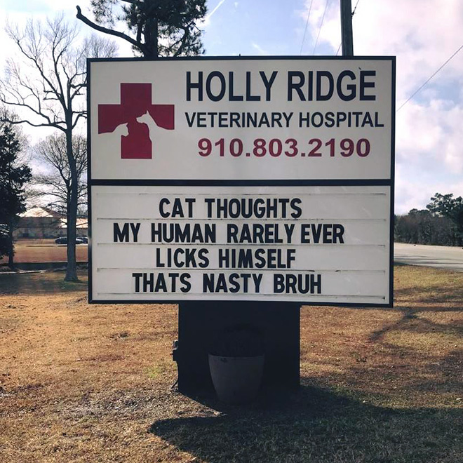 Awesome vet sign.