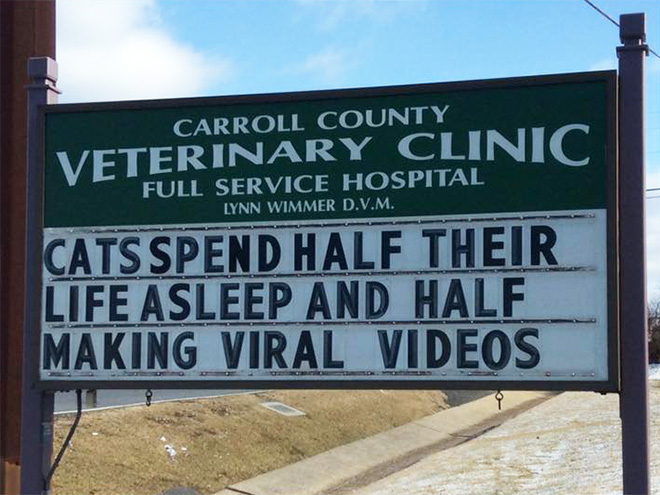 Awesome vet sign.