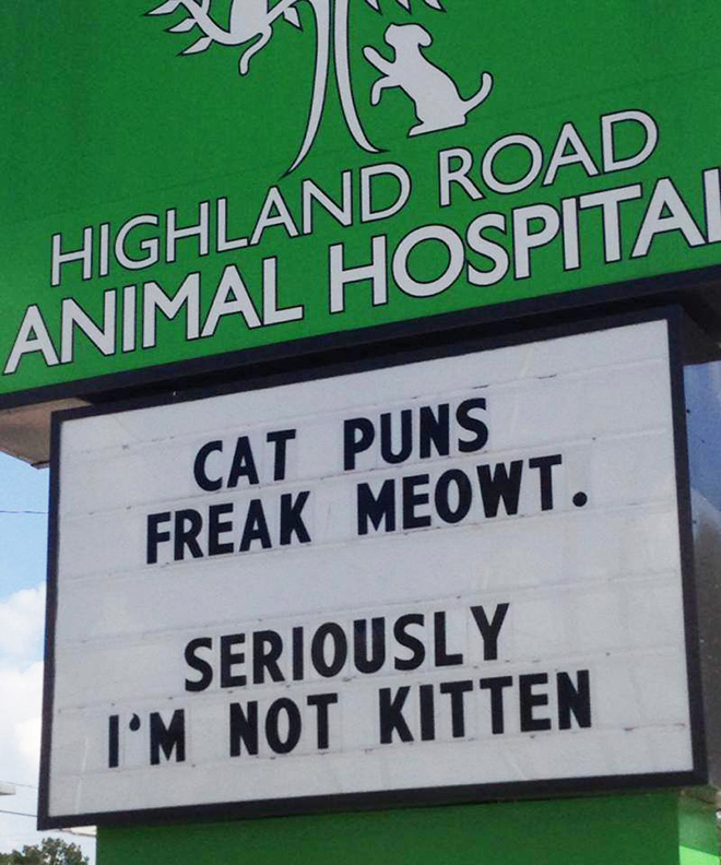 Awesome vet sign.