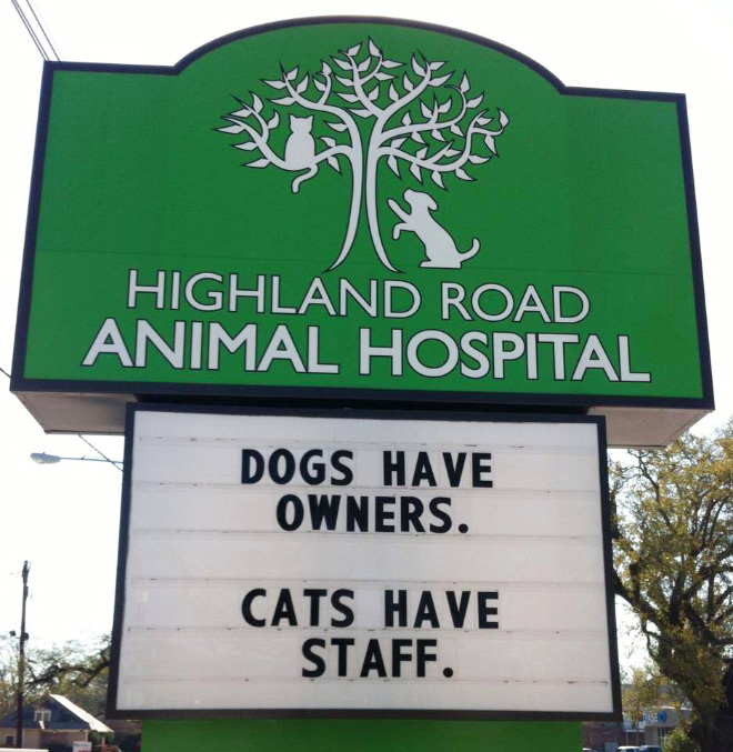 Awesome vet sign.