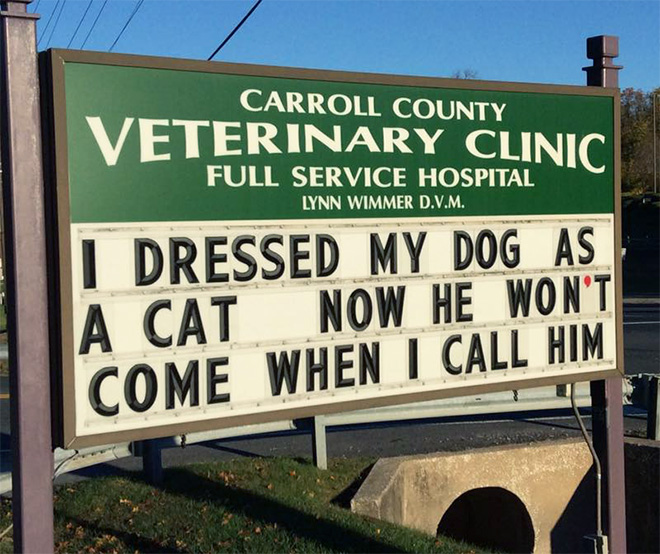 Awesome vet sign.