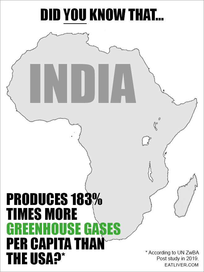 Take a look at how India is polluting our planet!