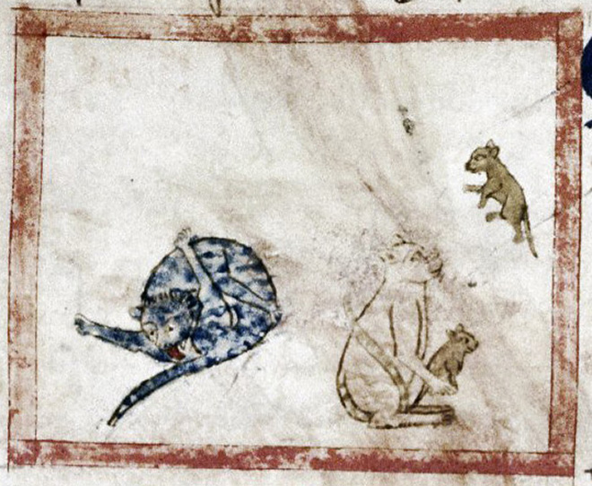 Medieval painting of cat licking his own butt.