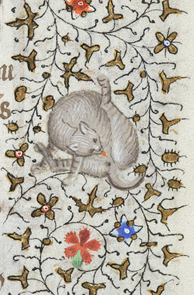 Medieval painting of cat licking his own butt.