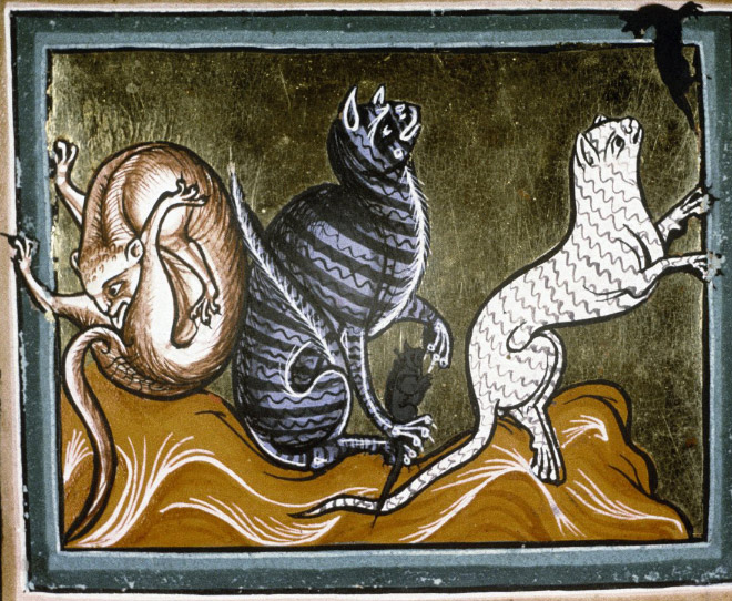 Medieval painting of cat licking his own butt.