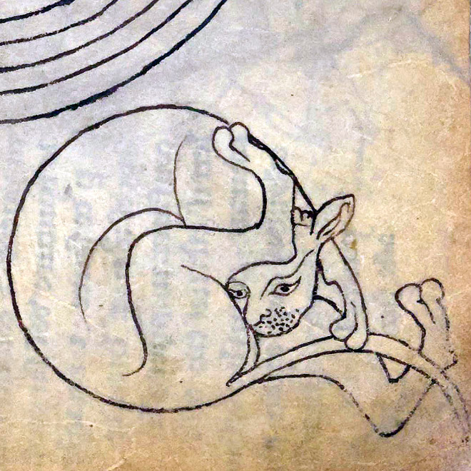 Medieval painting of cat licking his own butt.