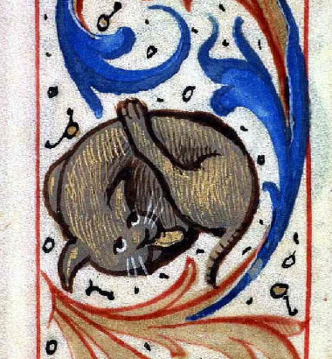 Medieval painting of cat licking his own butt.