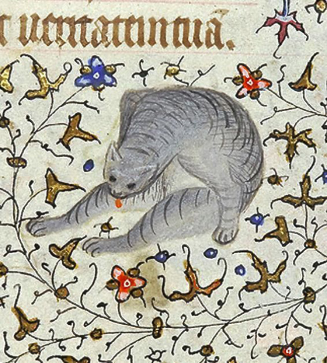 Medieval painting of cat licking his own butt.