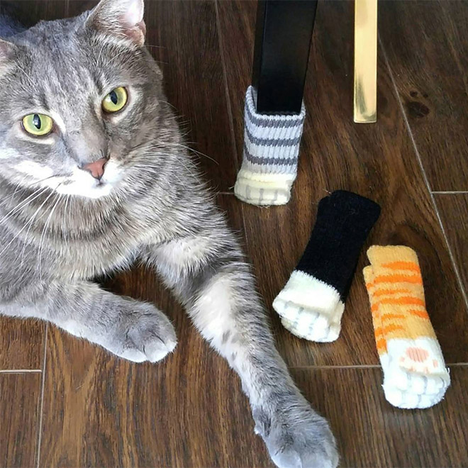 Cat paw chair socks.