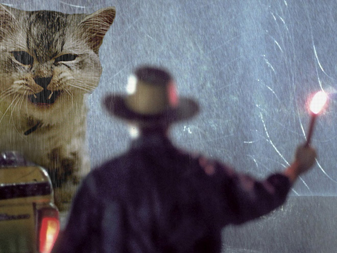 Jurassic Park improved by replacing dinosaurs with cats.