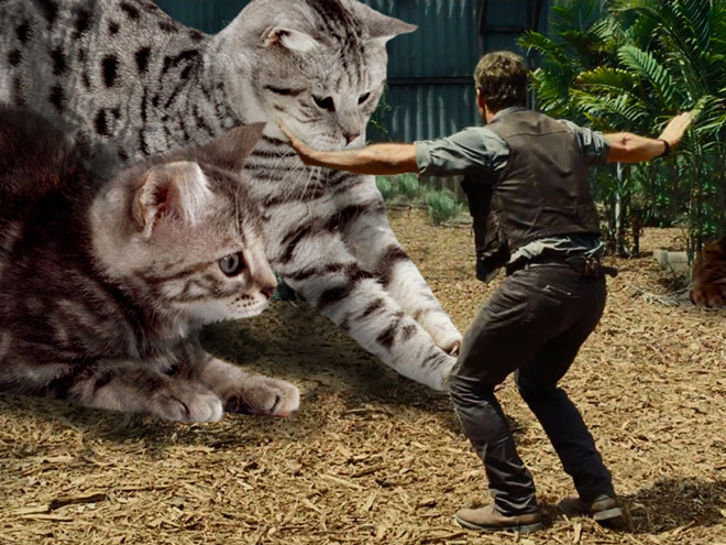 Jurassic Park improved by replacing dinosaurs with cats.