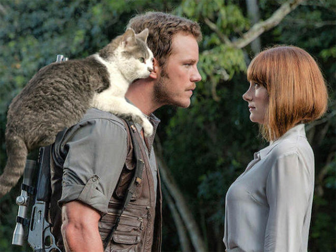 Jurassic Park improved by replacing dinosaurs with cats.