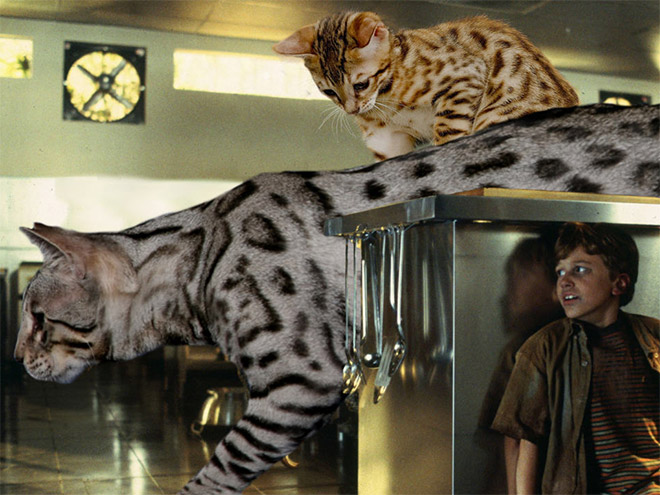 Jurassic Park improved by replacing dinosaurs with cats.