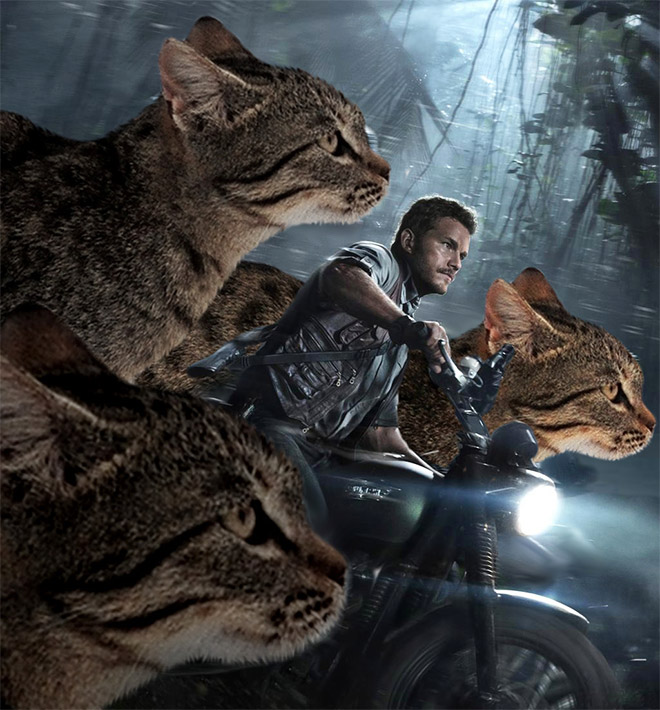 Jurassic Park improved by replacing dinosaurs with cats.