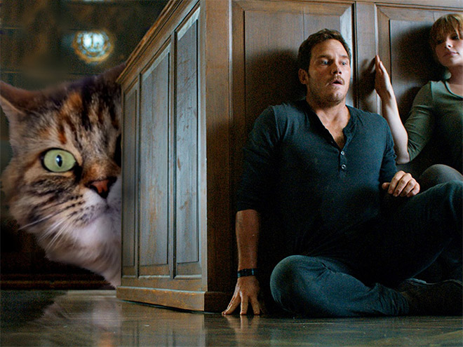 Jurassic Park improved by replacing dinosaurs with cats.