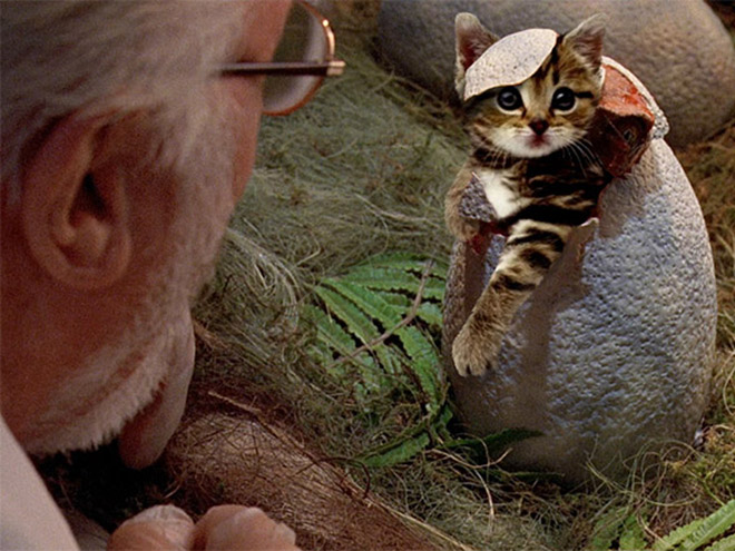 Jurassic Park improved by replacing dinosaurs with cats.