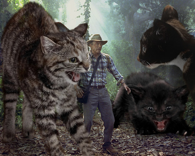 Jurassic Park improved by replacing dinosaurs with cats.