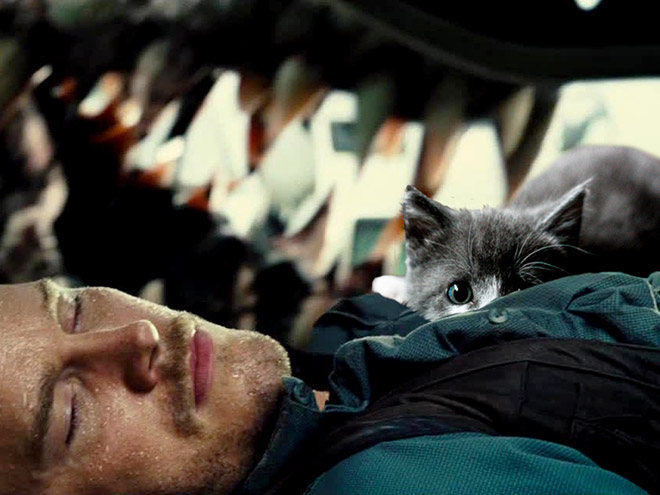 Jurassic Park improved by replacing dinosaurs with cats.