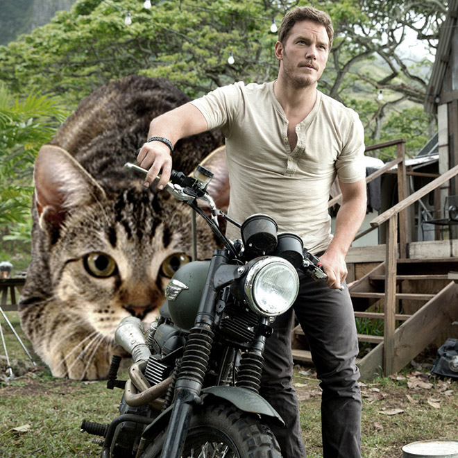 Jurassic Park improved by replacing dinosaurs with cats.