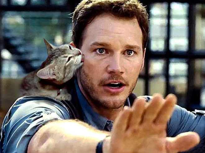 Jurassic Park improved by replacing dinosaurs with cats.