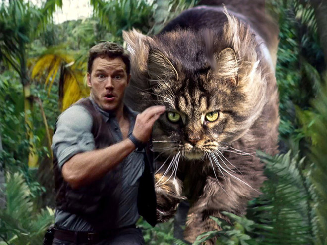 Jurassic Park improved by replacing dinosaurs with cats.