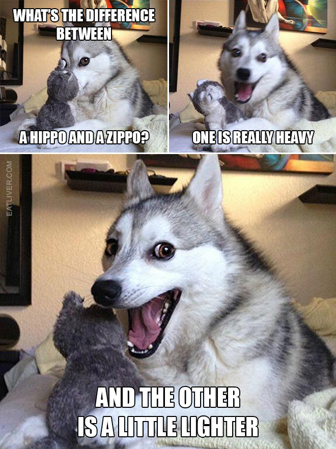 Bad Puns Dog (The Best Of)