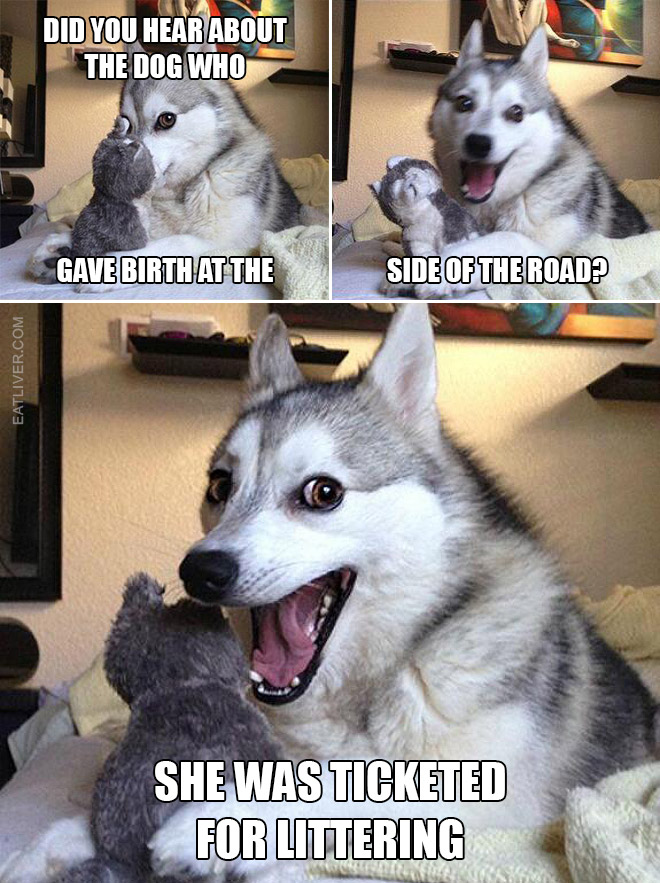 Bad puns dog meme.