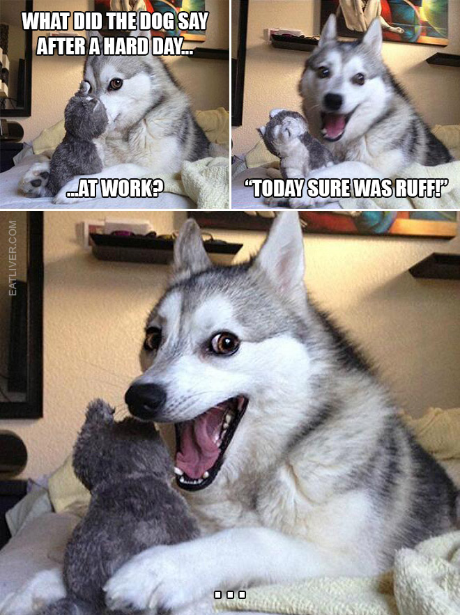 Bad puns dog meme.