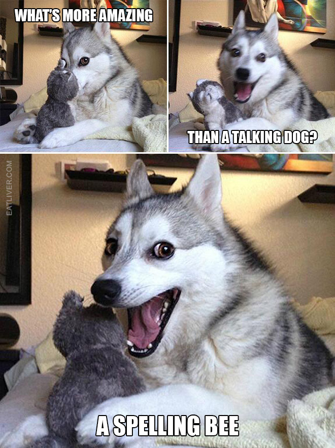 Bad puns dog meme.