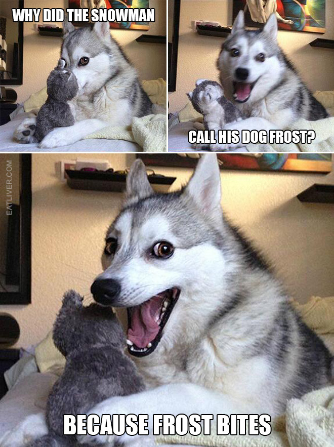 Bad puns dog meme.