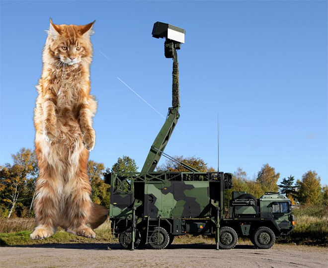 Huge cat photoshopped with military hardware for no reason at all.