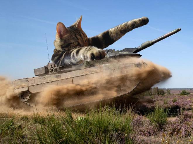 Huge cat photoshopped with military hardware for no reason at all.