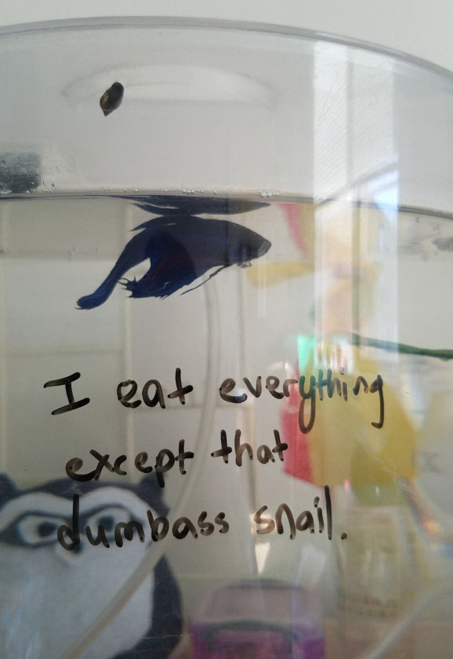 Fish shaming.