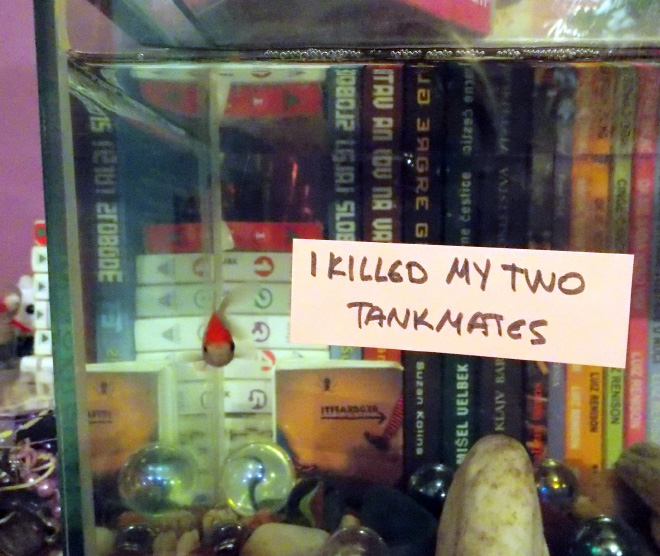 Fish shaming.