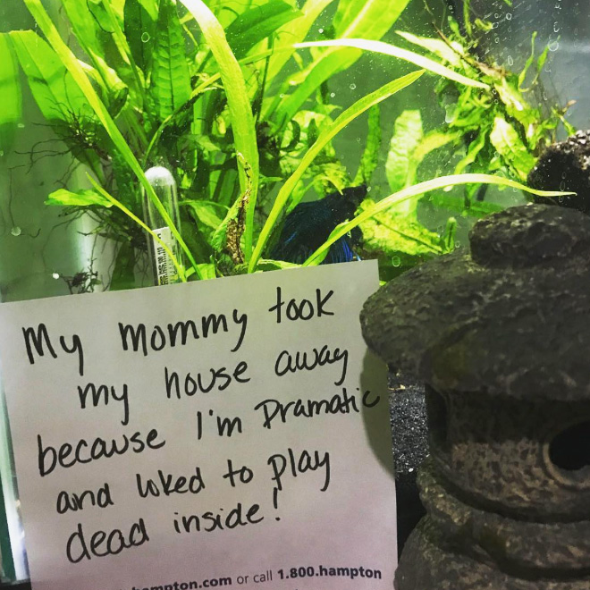 Fish shaming.