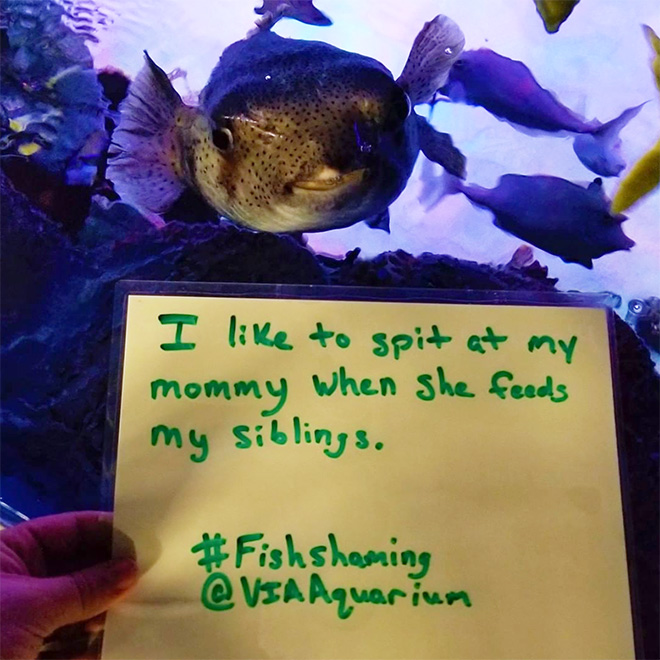 Fish shaming.