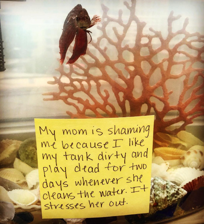 Fish shaming.