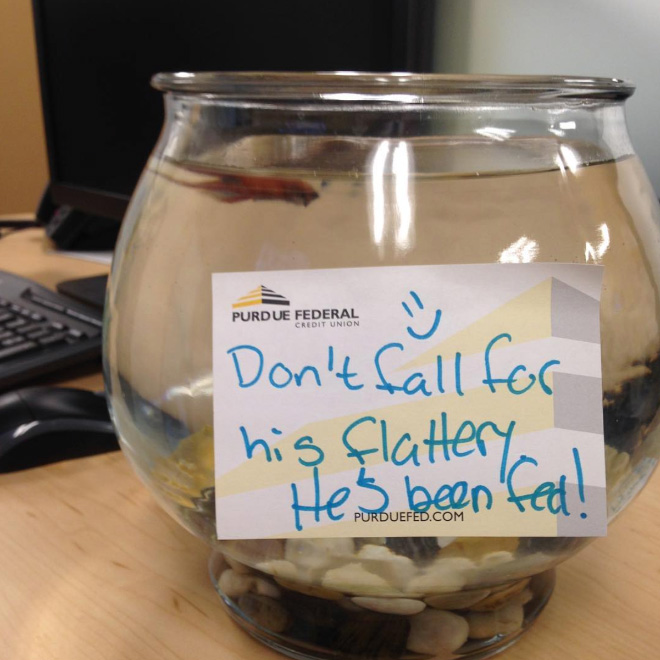 Fish shaming.