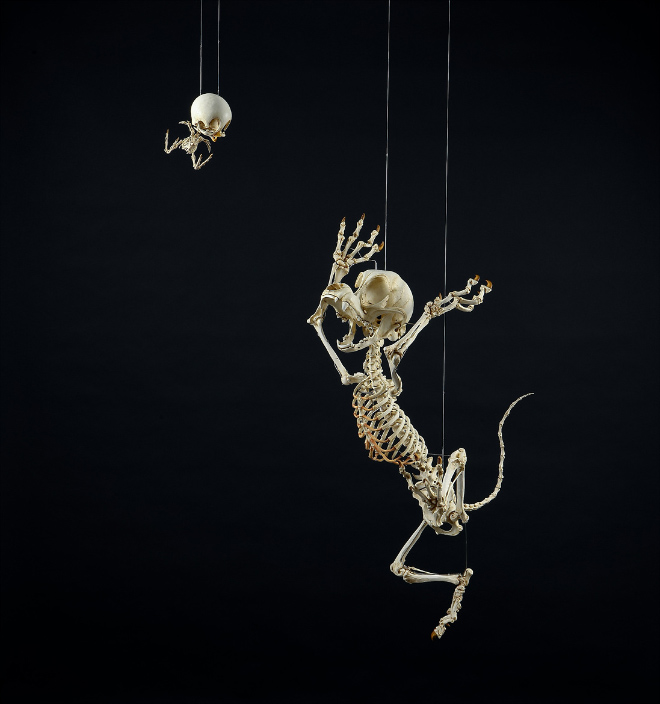 Cartoon skeleton by Hyungkoo Lee.