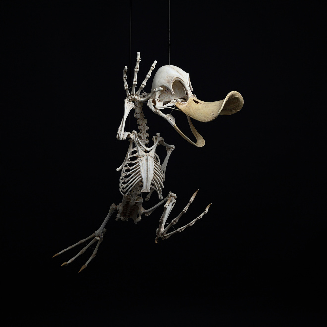 Cartoon skeleton by Hyungkoo Lee.