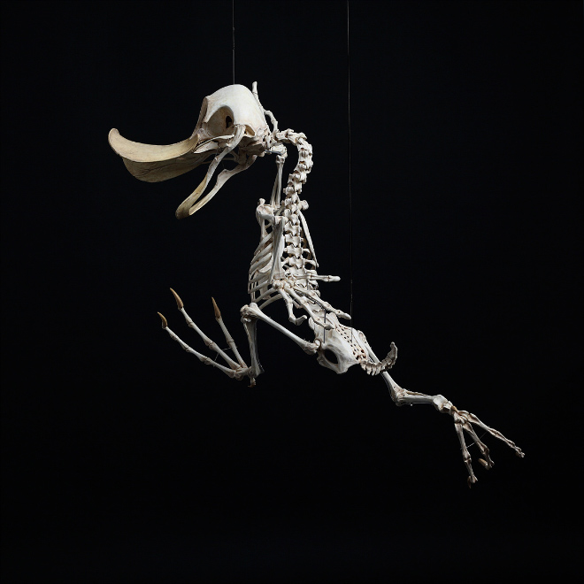 Cartoon skeleton by Hyungkoo Lee.