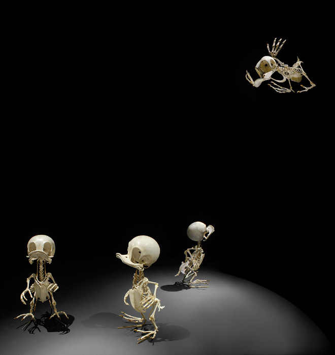 Cartoon skeleton by Hyungkoo Lee.