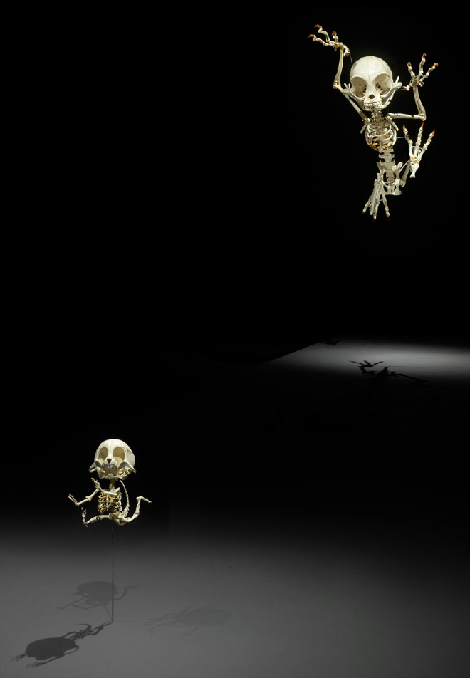 Cartoon skeleton by Hyungkoo Lee.