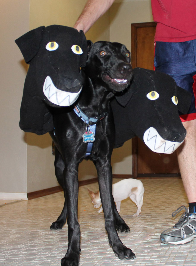 Funny Cerberus Halloween costume.