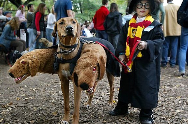 Funny Cerberus Halloween costume.