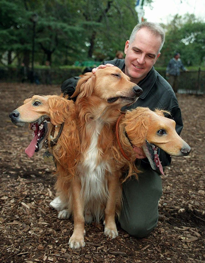 Funny Cerberus Halloween costume.