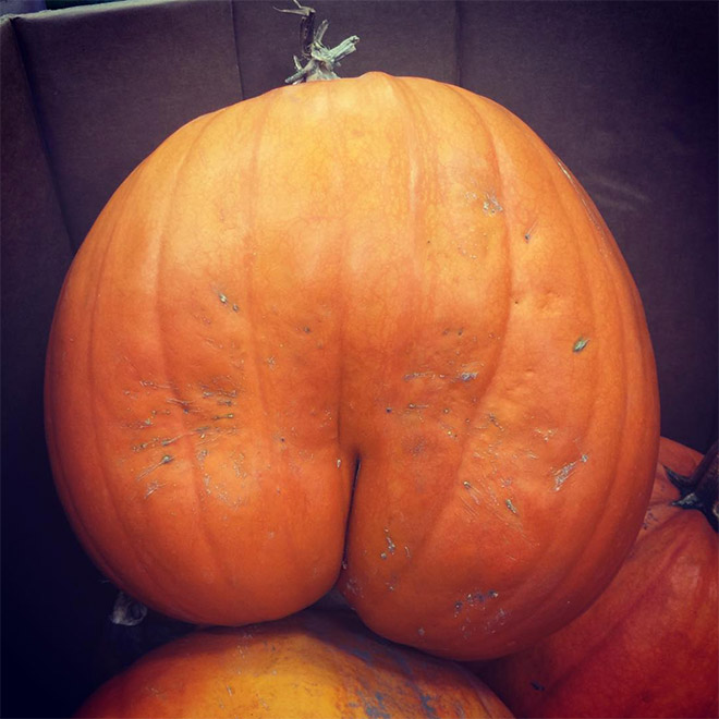 Hilarious butt-shaped Halloween pumpkin.