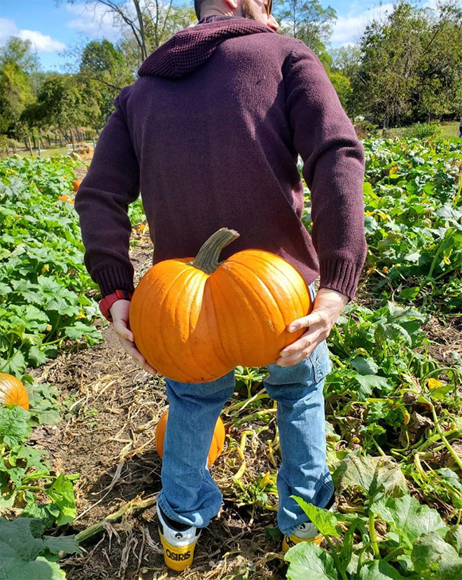 Hilarious butt-shaped Halloween pumpkin.