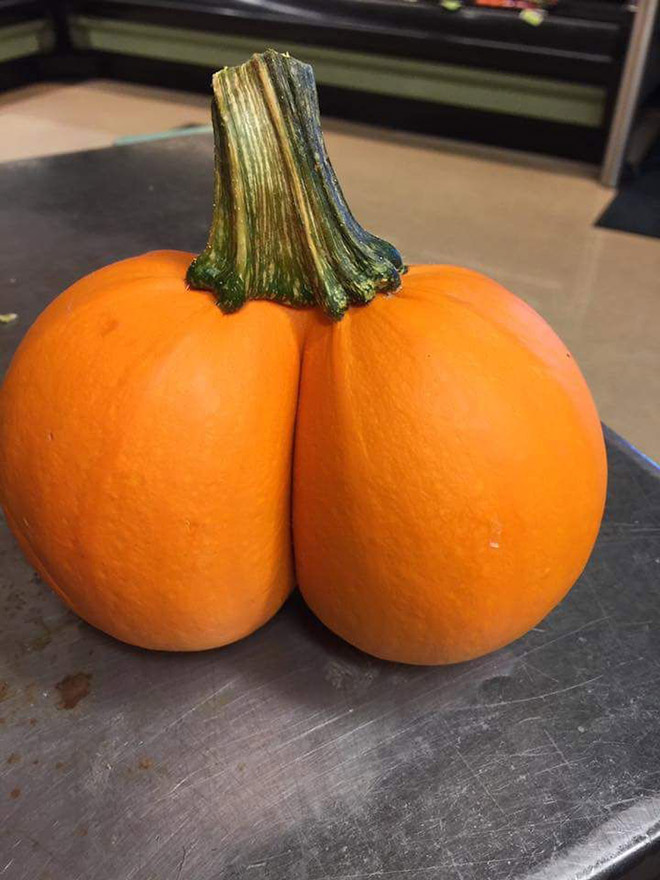 Hilarious butt-shaped Halloween pumpkin.