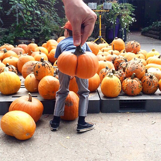 Hilarious butt-shaped Halloween pumpkin.